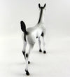 ENVY ME-OOAK VARNISH ROAN APPALOOSA FOAL MODEL HORSE 10/13/16