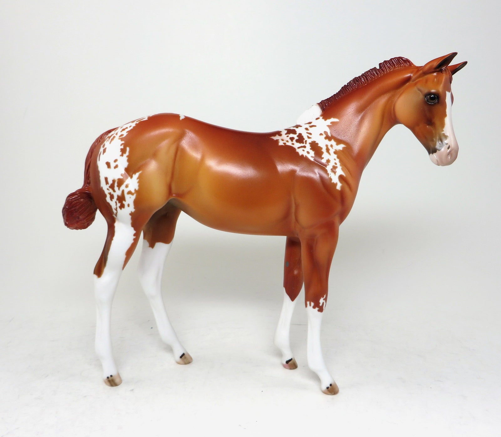 chessy chestnut paint weanling 