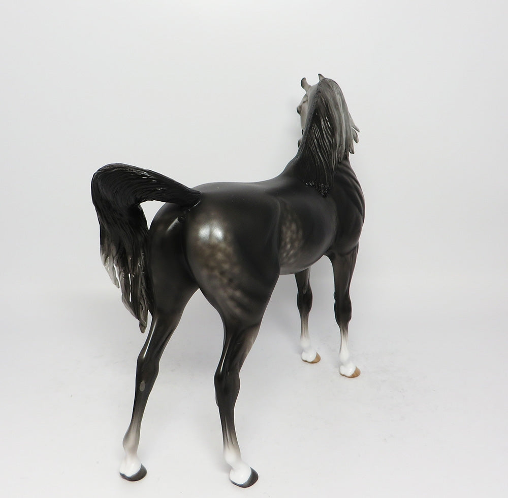 WINDSONG ON MY MIND~OOAK DARK DAPPLE GREY ARABIAN MODEL HORSE 9/13/17