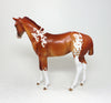 chestnut paint weanling 