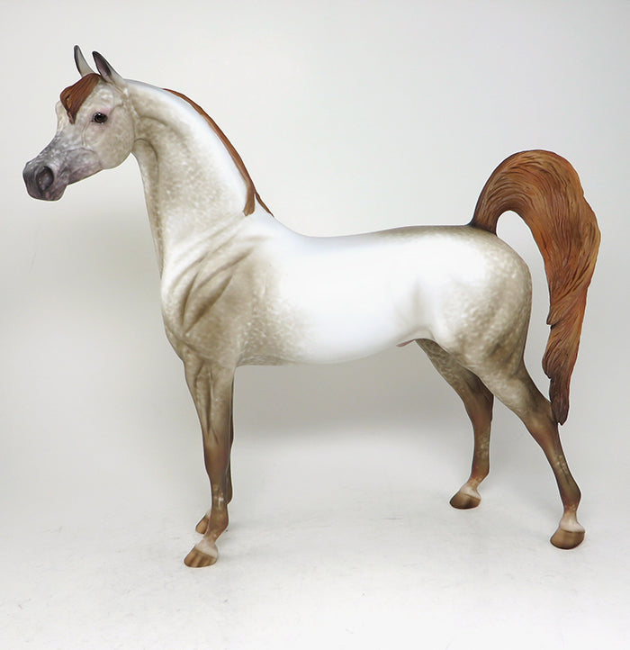 belisimo arabian
