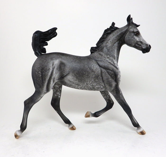 beso arabian yearling 