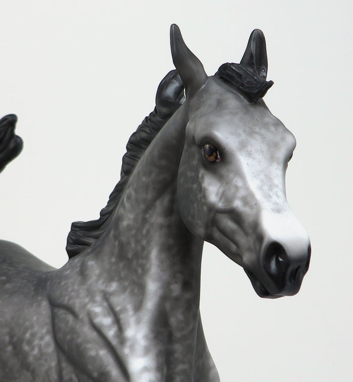 BESO-OOAK DAPPLE GREY ARABIAN YEARLING MODEL HORSE BY AL 4/15