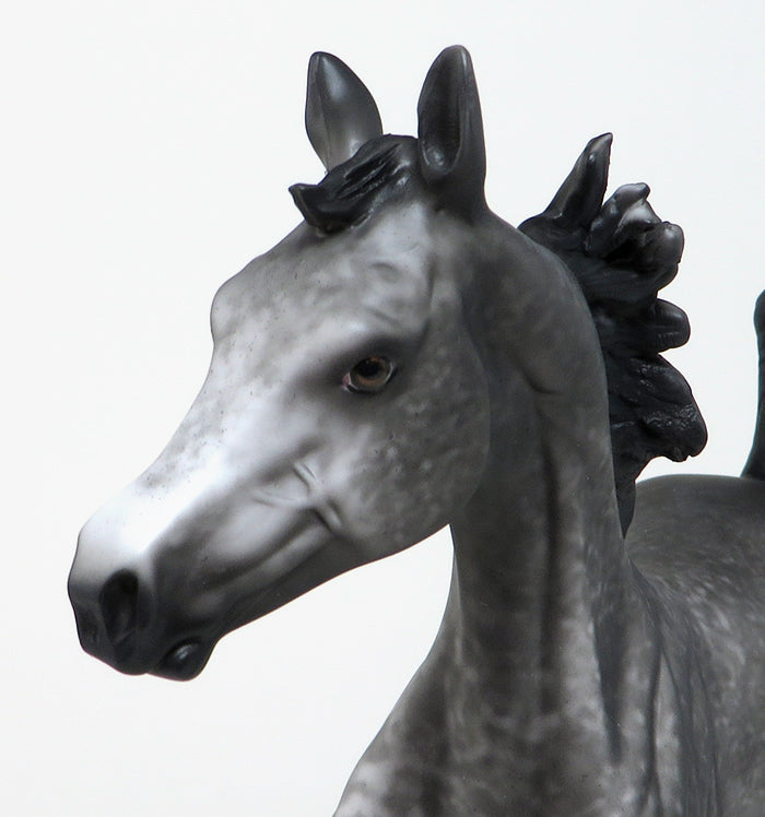 BESO-OOAK DAPPLE GREY ARABIAN YEARLING MODEL HORSE BY AL 4/15