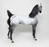 peter stone arabian 