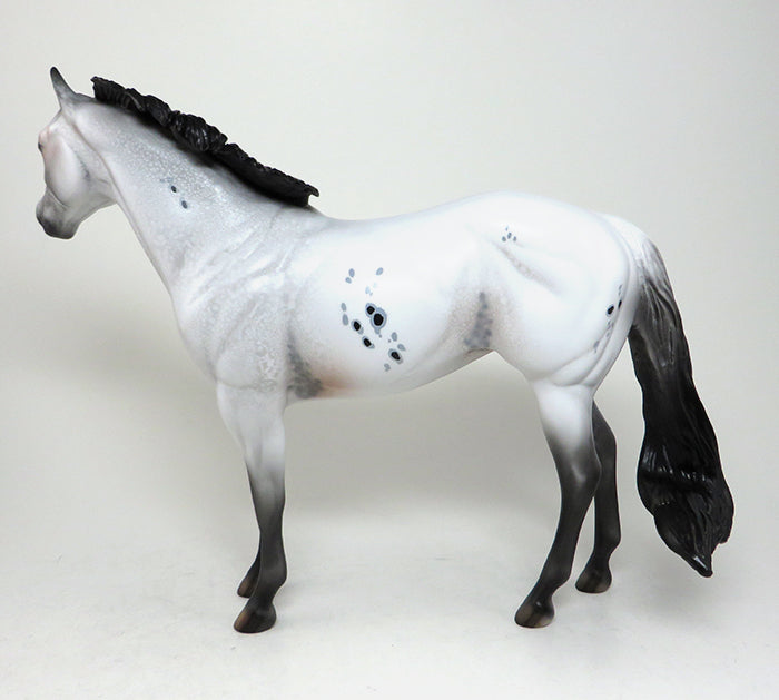 one of a kind appaloosa