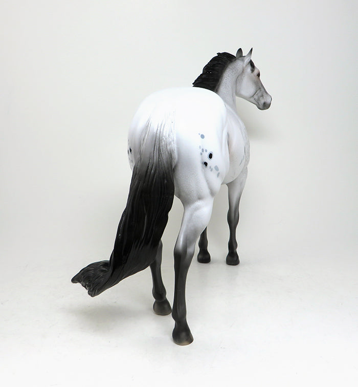 appaloosa stock horse 