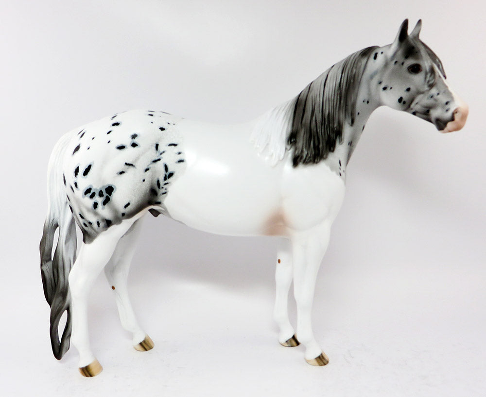 APPALOOSA