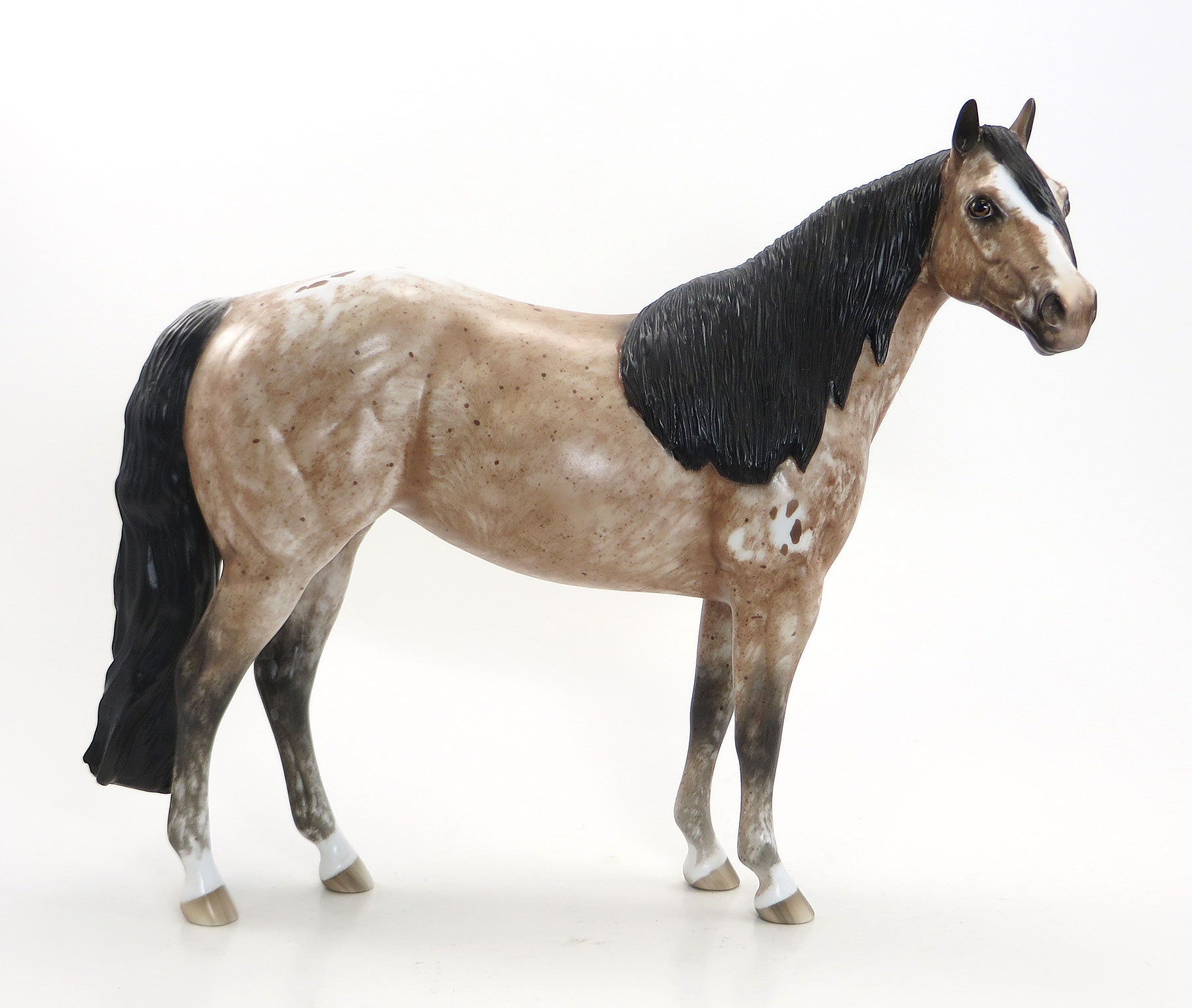 ADIOSE - OOAK Chestnut Appaloosa Stock Horse Mare By Leisure 5/15