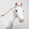 LIL&#39; RED CORVETTE-OOAK CHESTNUT APPALOOSA BRAIDED MANE AND TAIL ISH MODEL HORSE 4/22