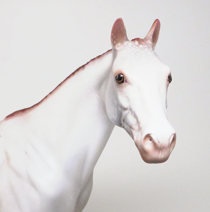LIL&#39; RED CORVETTE-OOAK CHESTNUT APPALOOSA BRAIDED MANE AND TAIL ISH MODEL HORSE 4/22