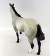 Blue Roan