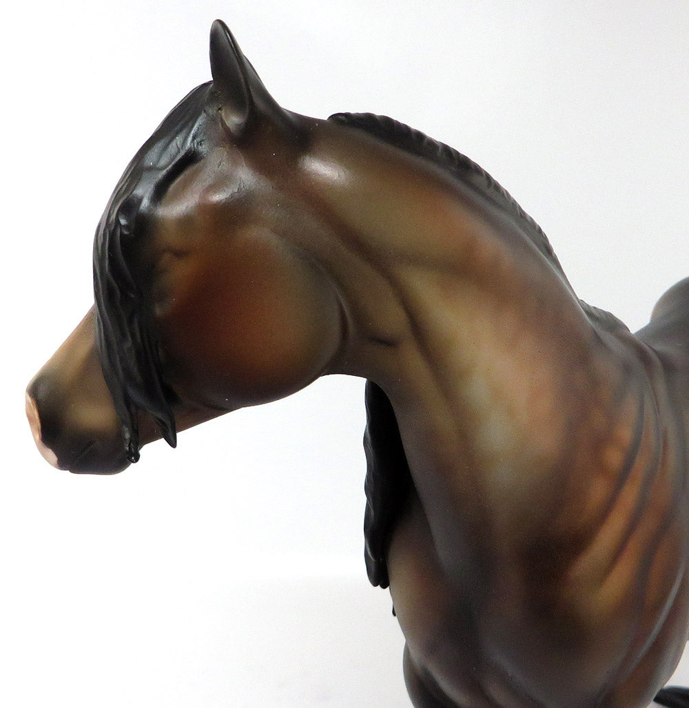 LOGAN-OOAK DAPPLE SEAL BAY ISH MODEL HORSE BY DAWN QUICK 3/17/17