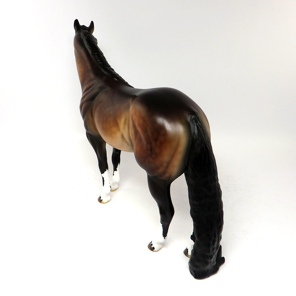 LOGAN-OOAK DAPPLE SEAL BAY ISH MODEL HORSE BY DAWN QUICK 3/17/17