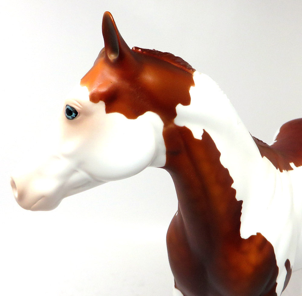 SHOWMAN~LE-3 DAPPLE SORREL PINTO ISH MODEL HORSE BY DAWN QUICK 3/17