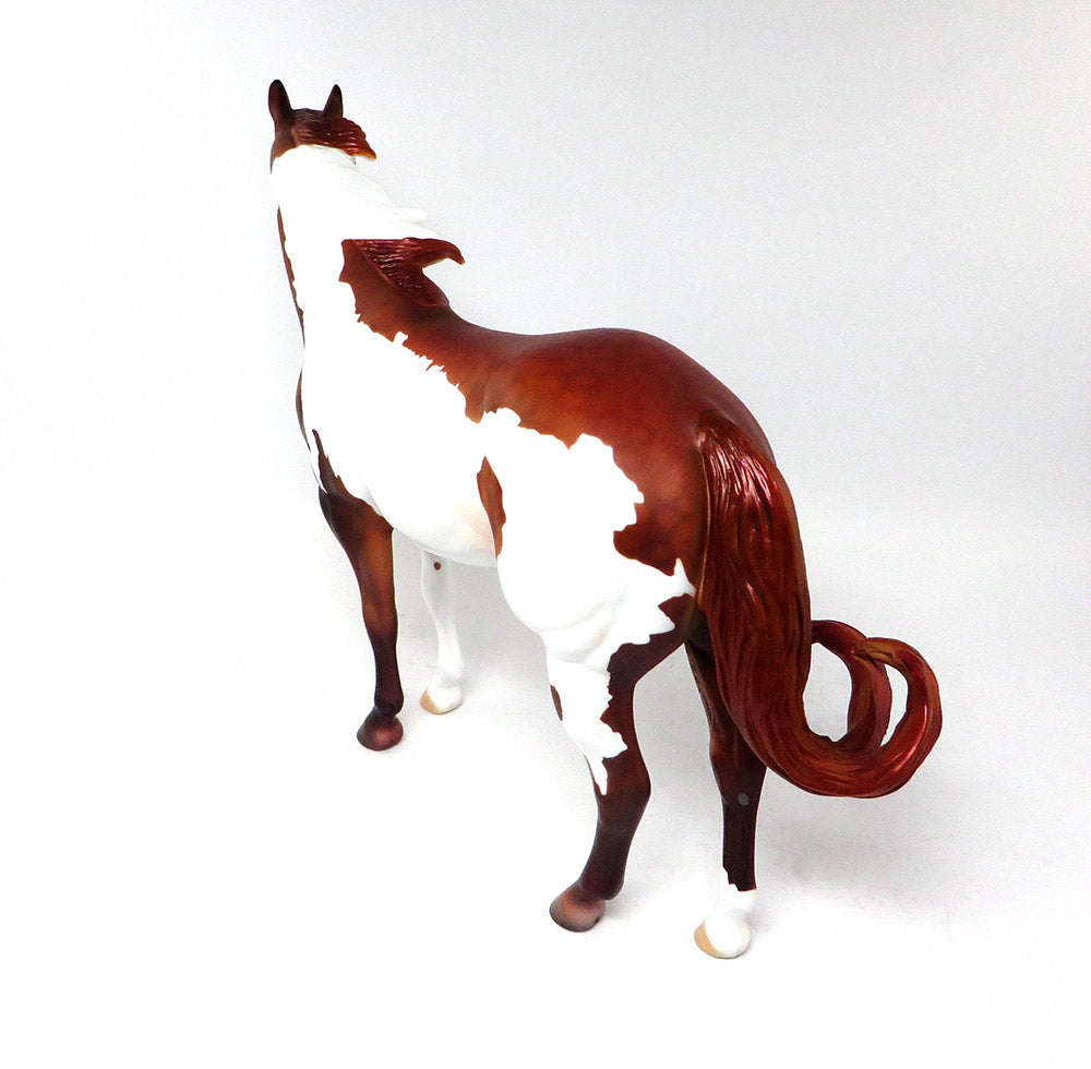 SHOWMAN~LE-3 DAPPLE SORREL PINTO ISH MODEL HORSE BY DAWN QUICK 3/17