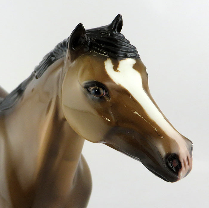 HIDDEN VALLEY OOAK MUSTANG DUN WITH BLAZE AND SOCKS EQ 2016