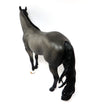 CHARLIE-OOAK BLUE ROAN ISH MODEL HORSE 3/17/17