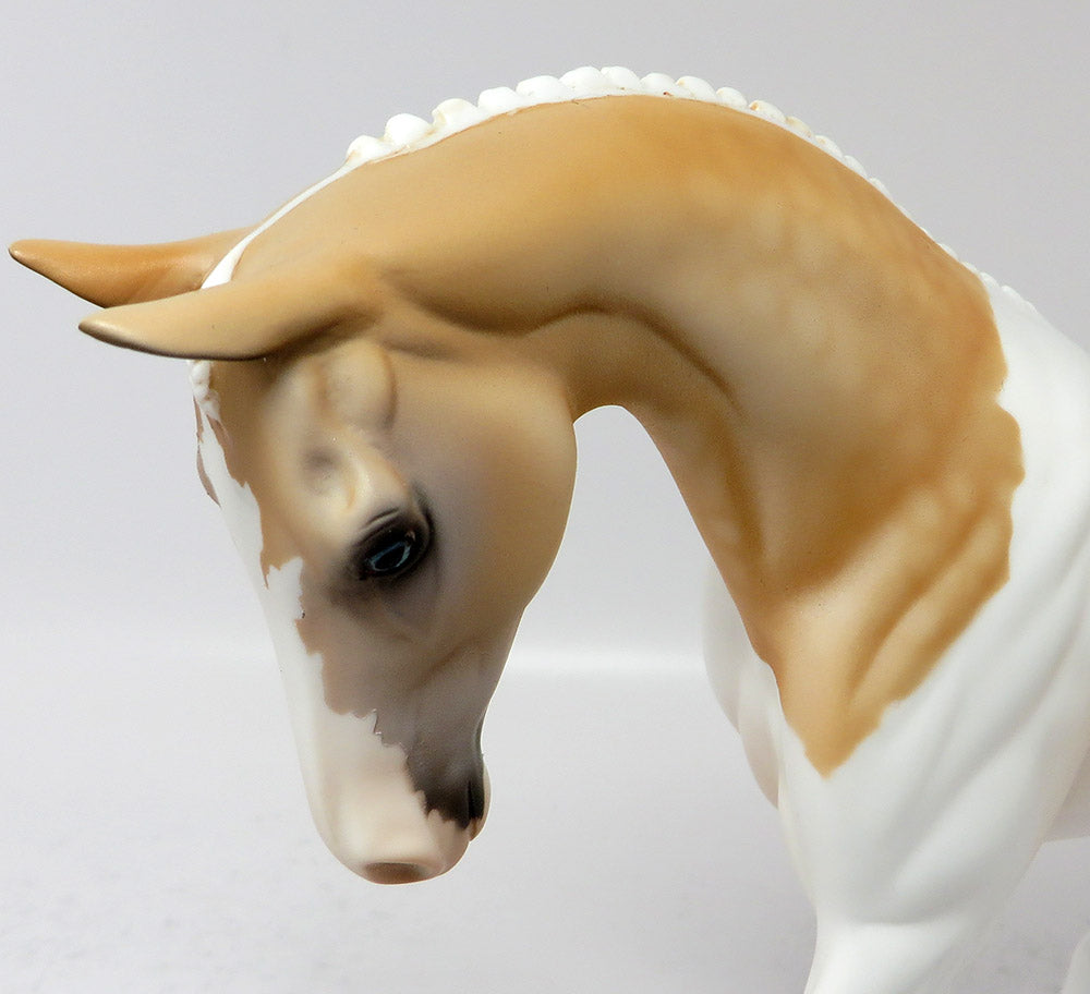 SUNNY~OOAK PALOMINO PAINT ENGLISH PONY MODEL HORSE 3/17