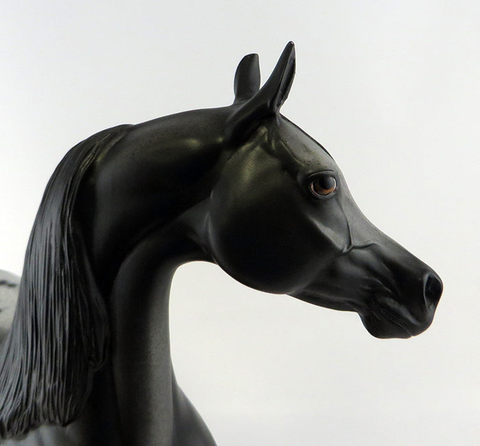 Majestic Journey OOAK Arab/App Black with Blanket EQ 2016