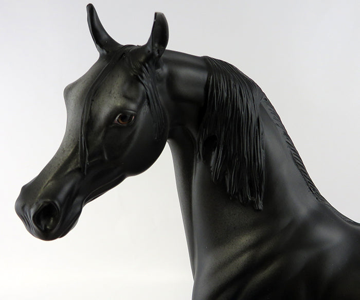 Majestic Journey OOAK Arab/App Black with Blanket EQ 2016