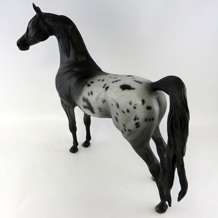 Appaloosa