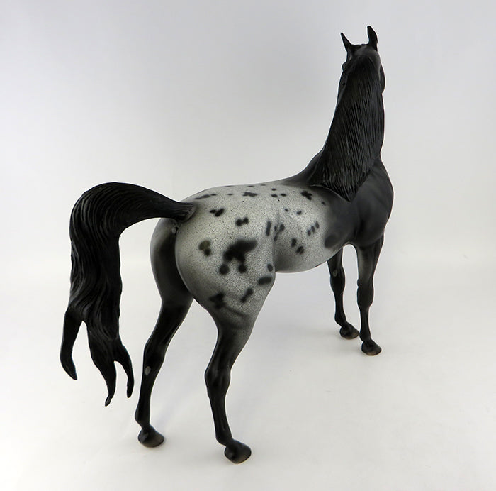 Majestic Journey OOAK Arab/App Black with Blanket EQ 2016