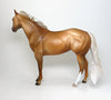 golden palomino ish 