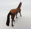 Warmblood