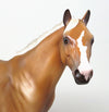 Golden palomino ish