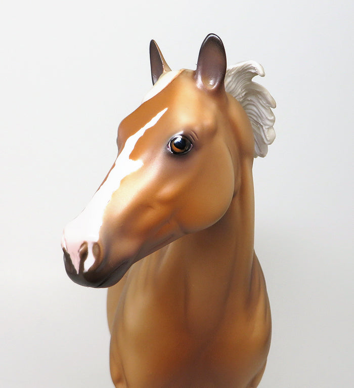 peter stone palomino