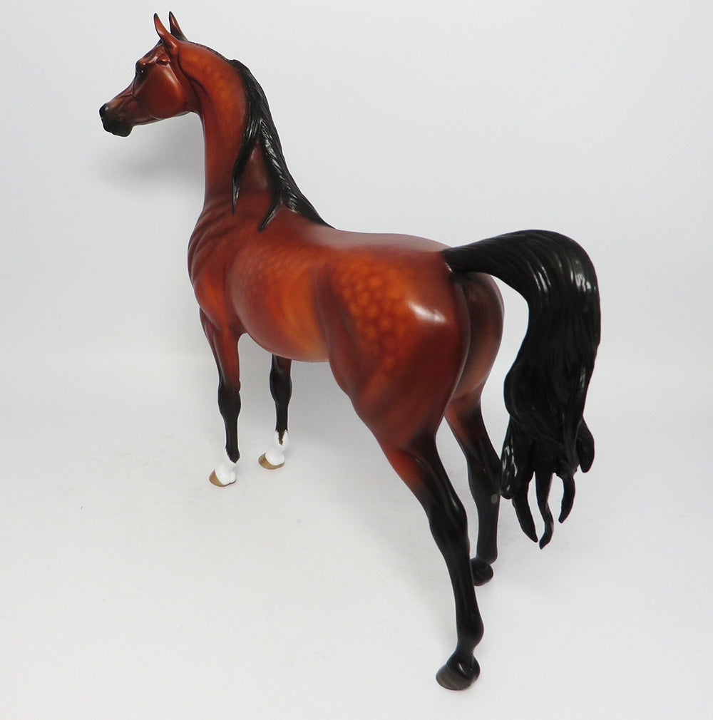 VERBENA~OOAK STAR DAPPLE GOLDEN BAY ARABIAN MODEL HORSE BY SHERYL LEISURE 9/15/17