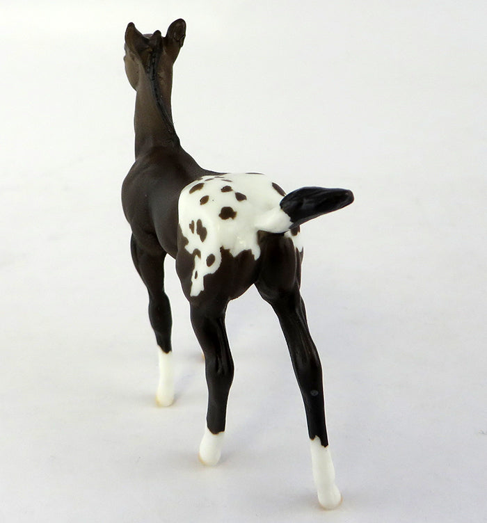 Appaloosa