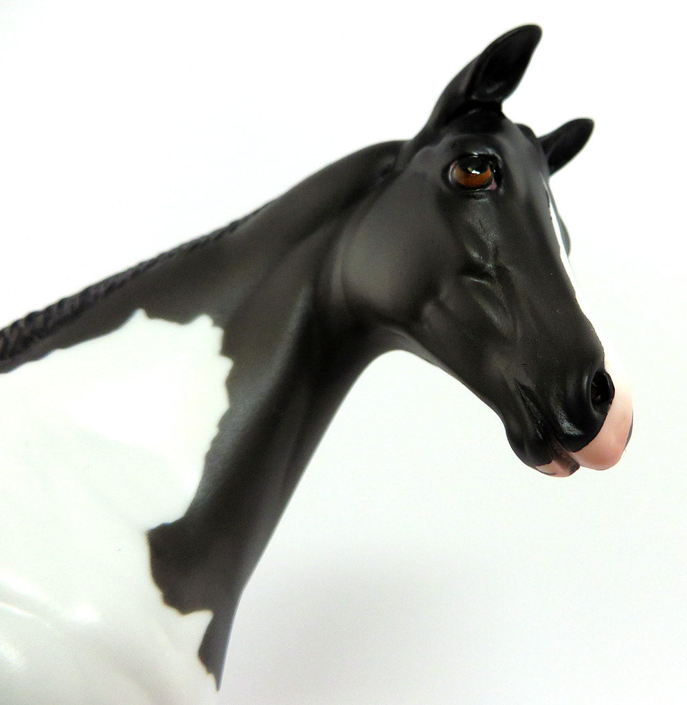 NATASHA-LE.4 BLACK PINTO WEANLING MODEL HORSE 3/20/17