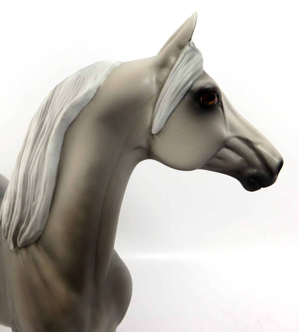 Shaded Mane &amp; Forelock