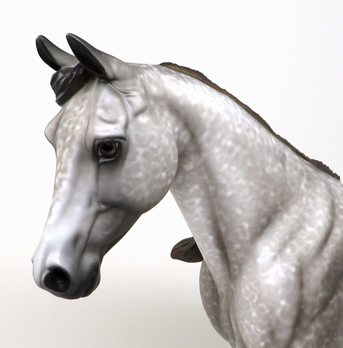 OPTIMIST-OOAK DAPPLE GREY PALOUSE MODEL HORSE BY AL 4/21