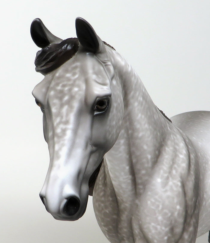 OPTIMIST-OOAK DAPPLE GREY PALOUSE MODEL HORSE BY AL 4/21