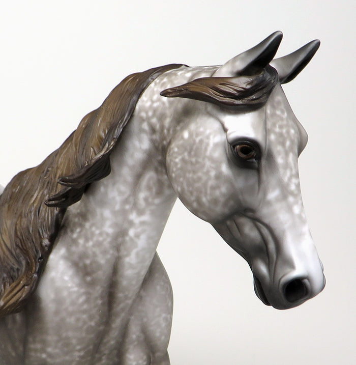 OPTIMIST-OOAK DAPPLE GREY PALOUSE MODEL HORSE BY AL 4/21