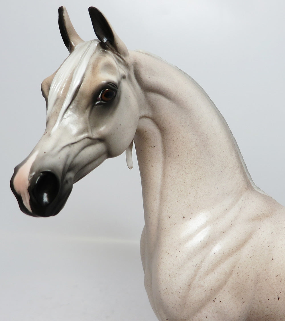 TUMERIC~OOAK BLOODY SHOULDER ARABIAN MODEL HORSE 9/15/17