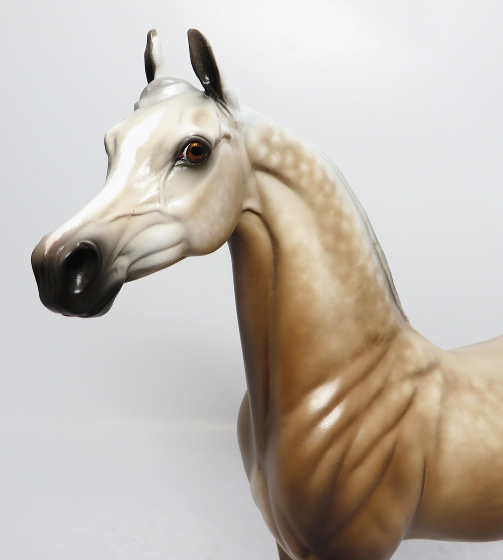 JUNIPER BERRY~STAR DAPPLE CHESTNUT GOING GREY ARABIAN MODEL HORSE BY SHERYL LEISURE 9/13/17
