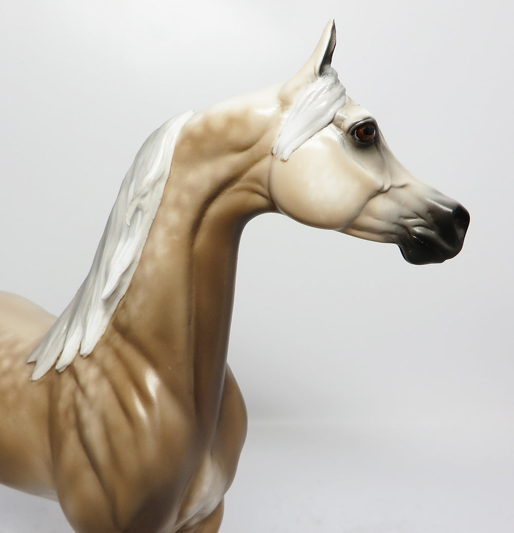 JUNIPER BERRY~STAR DAPPLE CHESTNUT GOING GREY ARABIAN MODEL HORSE BY SHERYL LEISURE 9/13/17