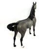 ARISTOTLE-OOAK GRULLA  ARABIAN MODEL HORSE 3/23