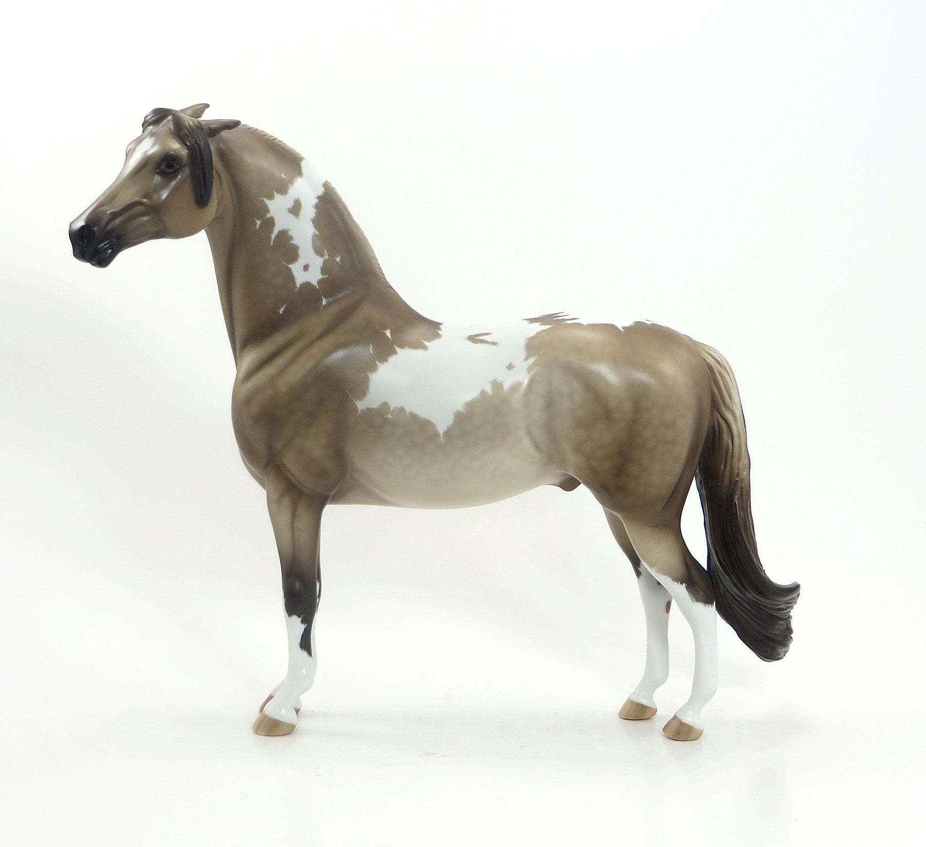 TRUE GRIT - OOAK Sooty Buckskin Morgan by Sheryl Leisure 7/31