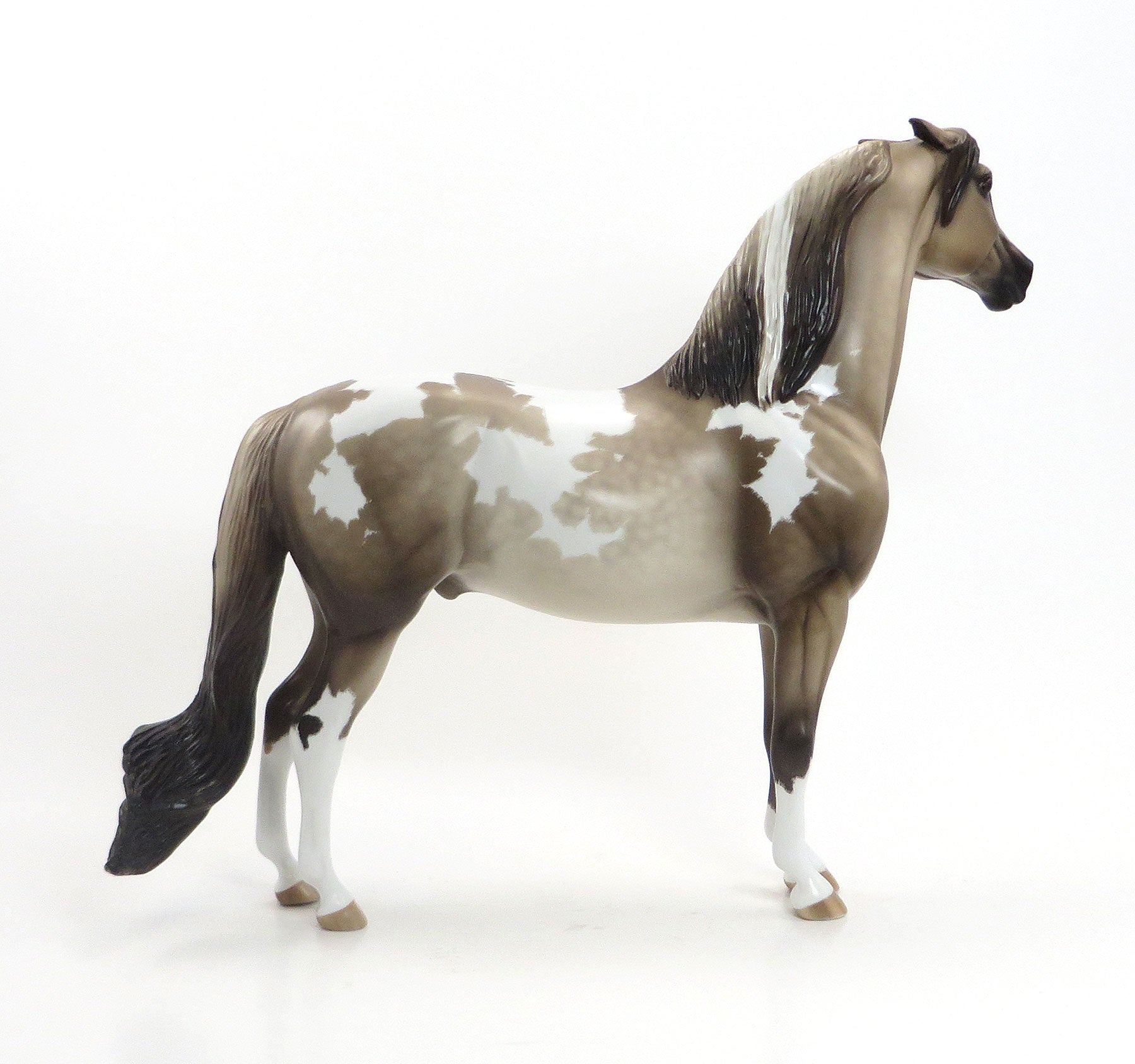 TRUE GRIT - OOAK Sooty Buckskin Morgan by Sheryl Leisure 7/31