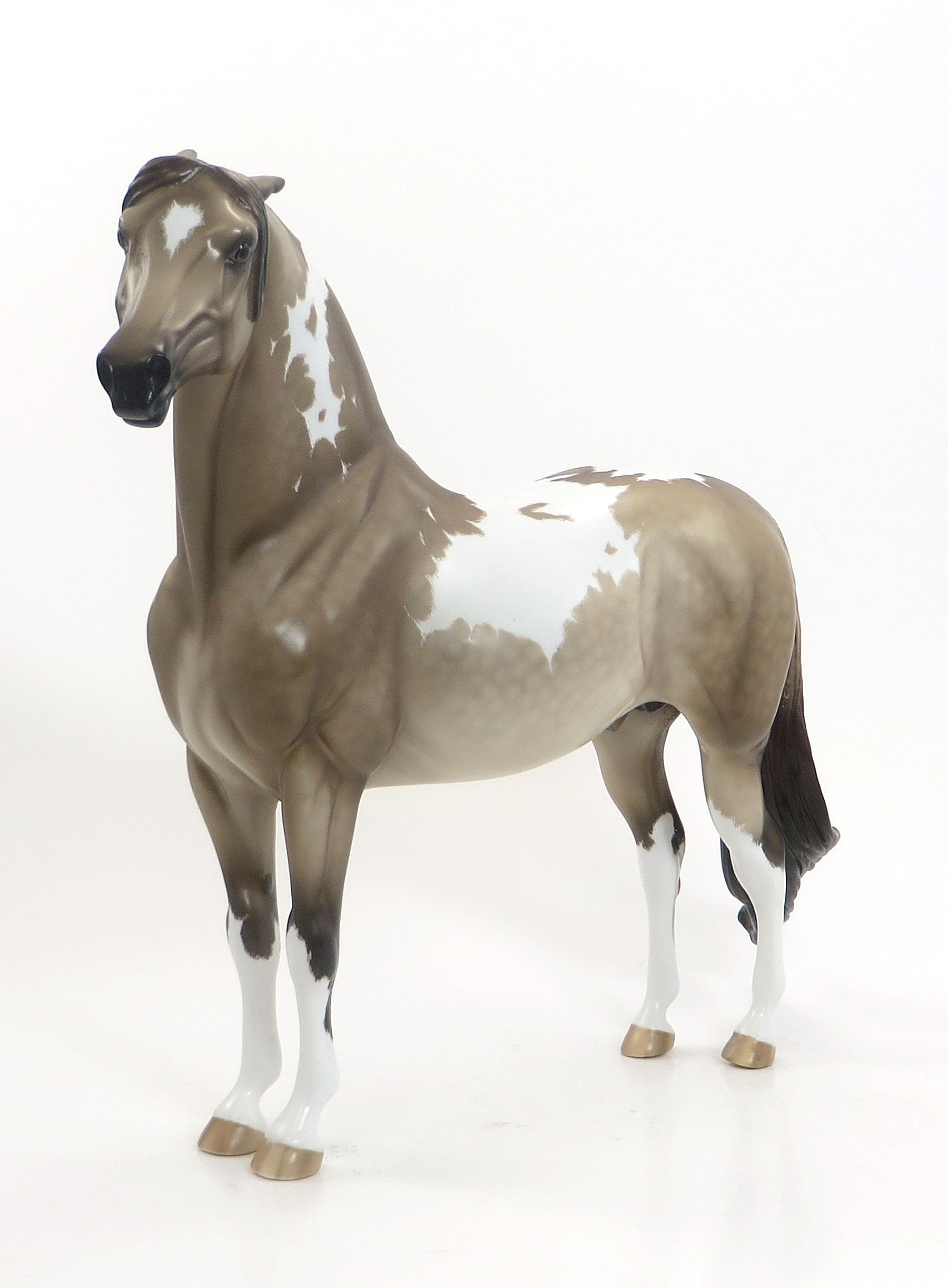 TRUE GRIT - OOAK Sooty Buckskin Morgan by Sheryl Leisure 7/31