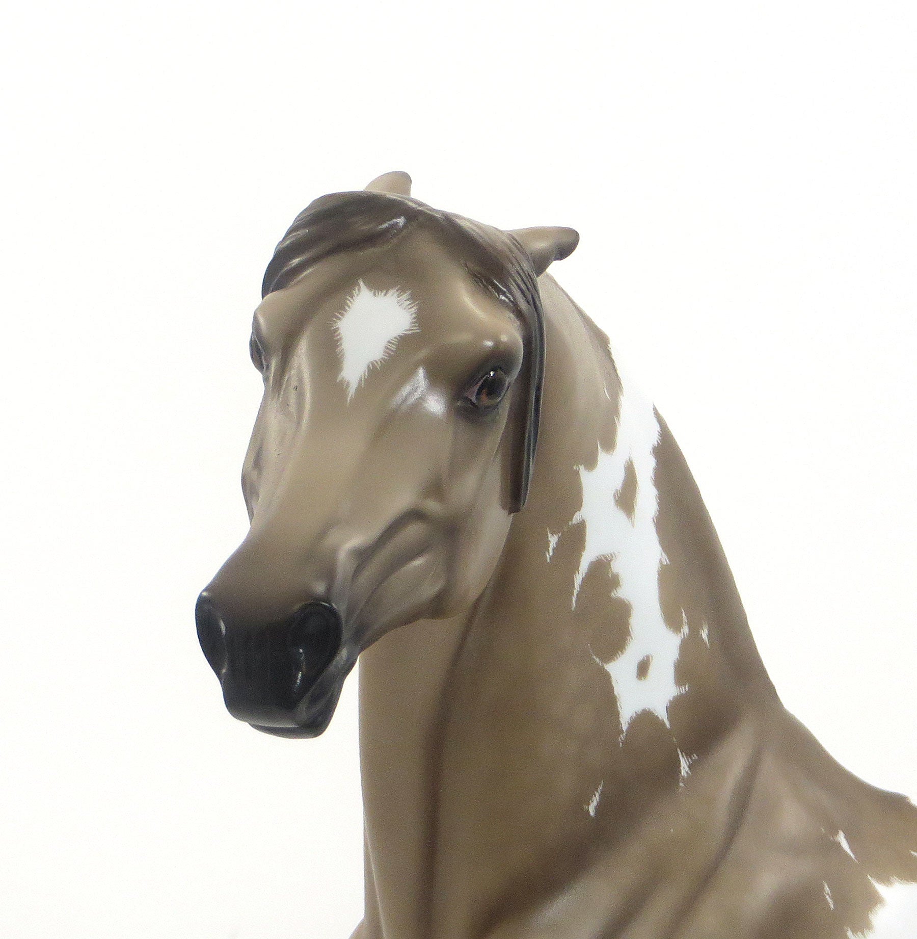 TRUE GRIT - OOAK Sooty Buckskin Morgan by Sheryl Leisure 7/31