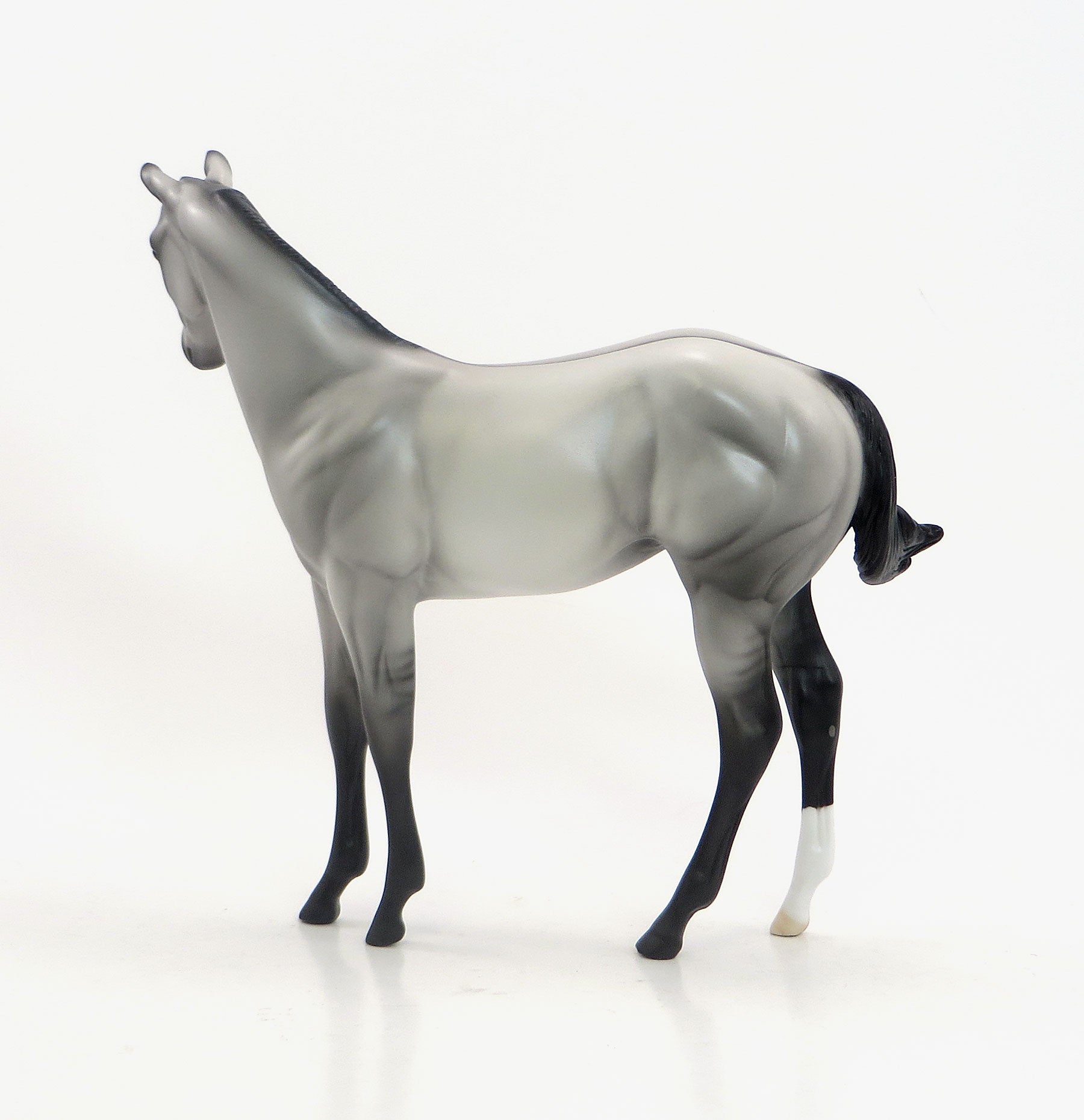 MIDNIGHT DREAM Grulla Weanling 