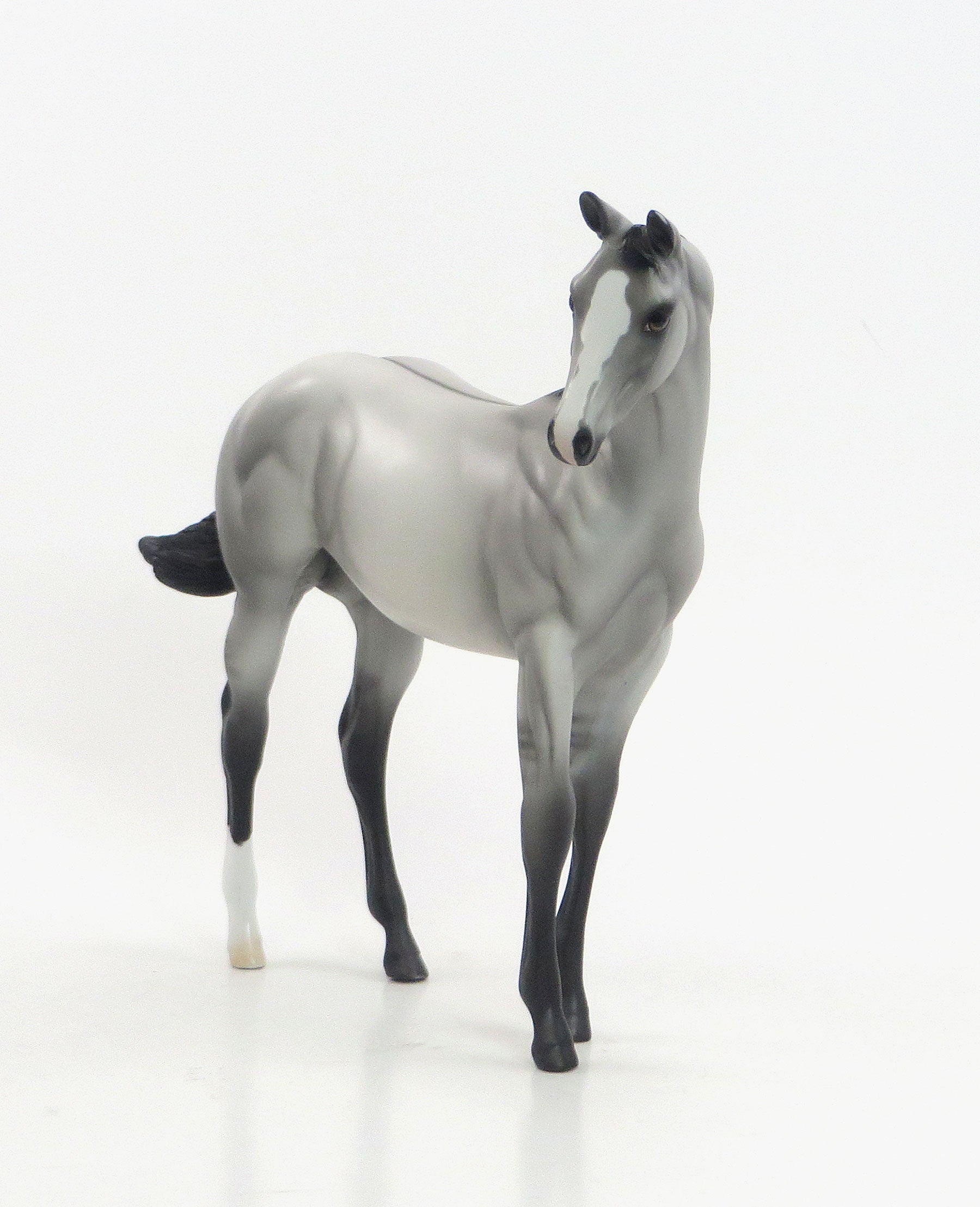 Paint Model Horse