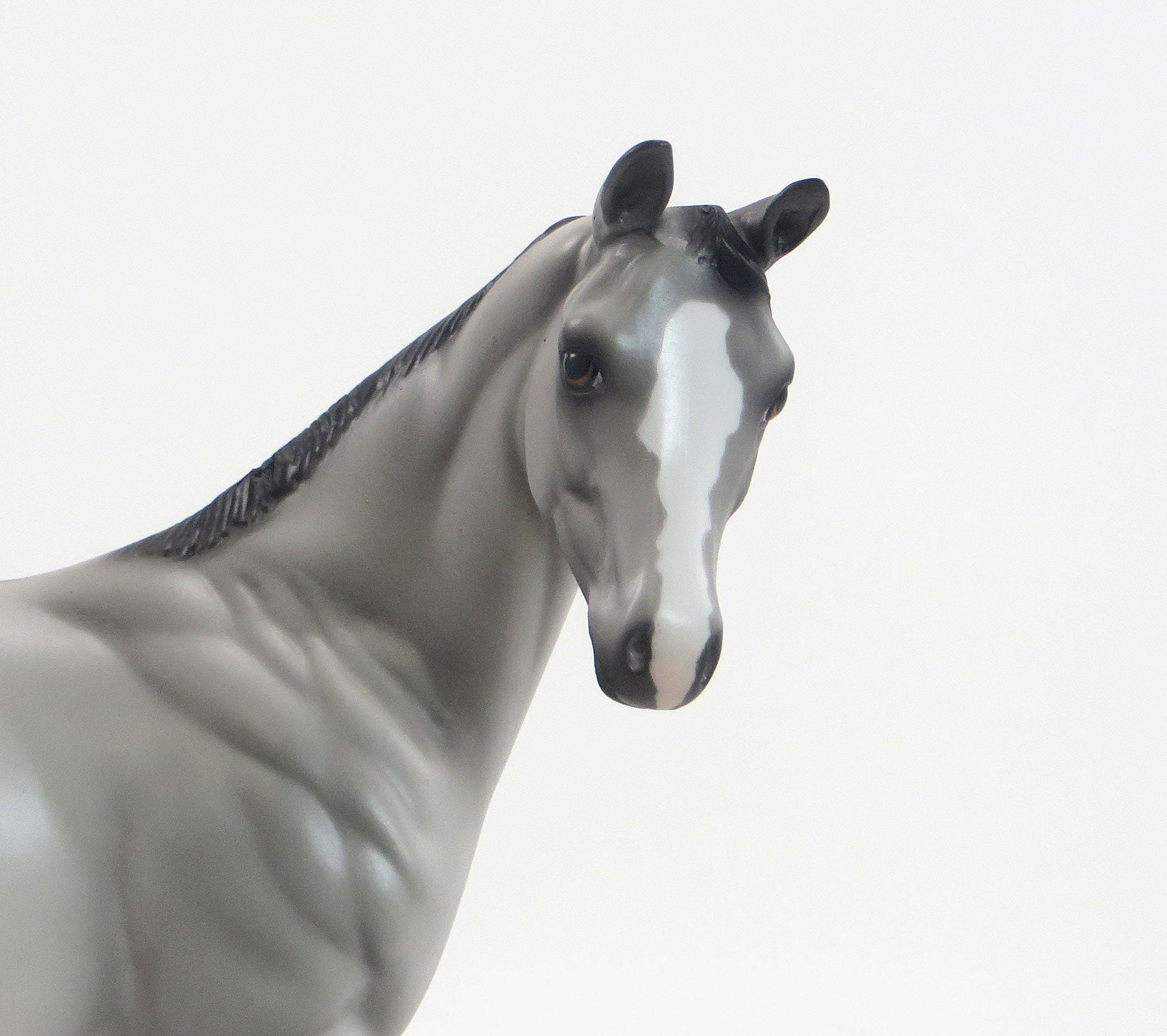 Grulla Weanling Model Horse
