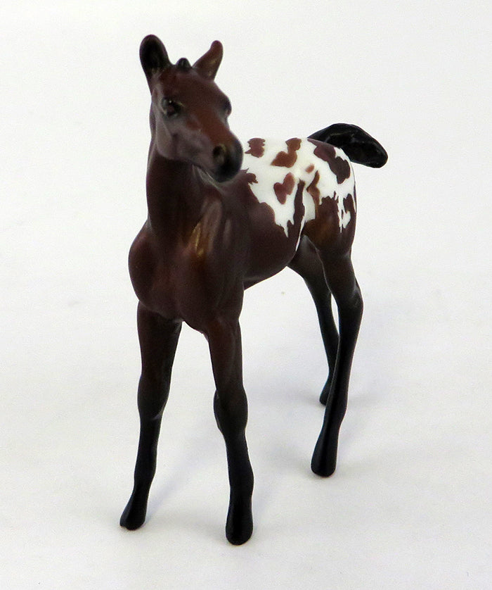 Foal